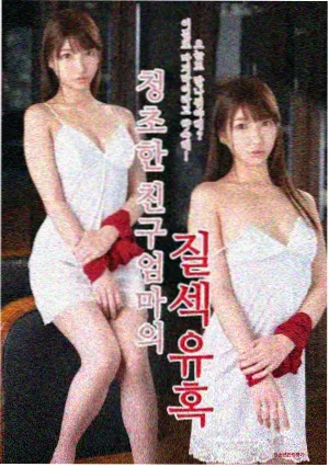 莲花楼免费看